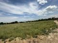 Сельское хозяйство · 1000 м² за 300 000 ₸ в Кыргауылдах — фото 8
