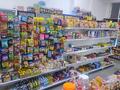 ГОТОВЫЙ БИЗНЕС продуктовый магазин · 136 м², бағасы: 42 млн ₸ в Алматы, Бостандыкский р-н — фото 10
