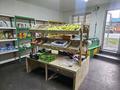 Дүкендер мен бутиктер · 50 м², бағасы: 300 000 ₸ в Алматы, Жетысуский р-н — фото 5