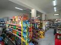 Свободное назначение, магазины и бутики · 240 м² за 400 000 ₸ в Шымкенте, Абайский р-н — фото 2