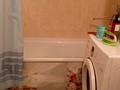 2-бөлмелі пәтер · 60 м² · 9/9 қабат, Аэропорт 2 шағын ауданы, Мкр аэропорт — Возле парка, бағасы: 250 000 ₸ в Костанае, Микрорайон Аэропорт 2 — фото 7