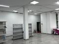 Свободное назначение, офисы, магазины и бутики, общепит, салоны красоты, бани, гостиницы и зоны отдыха, фитнес и спорт, медцентры и аптеки, образование, развлечения, конференц-залы, кабинеты и рабочие места · 250 м² за 175 млн ₸ в Туркестане — фото 9