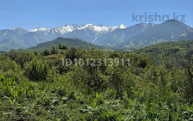 Участок · 3 га, Талгар за 90 млн ₸ — фото 3