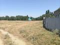 Участок · 5 соток, Достык 47 за 8 млн ₸ в Долане — фото 10