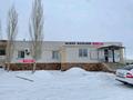 Еркін · 443.8 м², бағасы: 80 млн ₸ в Семее