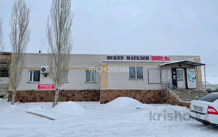 Еркін · 443.8 м², бағасы: 80 млн ₸ в Семее — фото 2