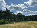 Участок · 15 соток, Коктобе за 5 млн ₸ в Имантау — фото 5