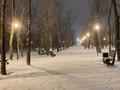 Отдельный дом · 4 комнаты · 96.8 м² · 6 сот., мкр Маяк — Ул. Аккутан (бывш. Капчагайская) за 120 млн ₸ в Алматы, Турксибский р-н — фото 85