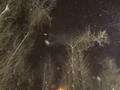 Отдельный дом · 4 комнаты · 96.8 м² · 6 сот., мкр Маяк — Ул. Аккутан (бывш. Капчагайская) за 120 млн ₸ в Алматы, Турксибский р-н — фото 87