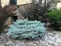 3-бөлмелі пәтер · 73 м² · 4/4 қабат, ​Герольда Бельгера 1Б, бағасы: ~ 69 млн ₸ в Алматы, Наурызбайский р-н — фото 16