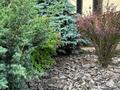 3-бөлмелі пәтер · 73 м² · 4/4 қабат, ​Герольда Бельгера 1Б, бағасы: ~ 69 млн ₸ в Алматы, Наурызбайский р-н — фото 19