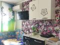 1-бөлмелі пәтер · 20 м² · 2/5 қабат, Уалиханова 28 — магазин "Изюминка", бағасы: 6.7 млн ₸ в Петропавловске — фото 7