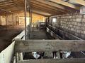 Сельское хозяйство · 400 м² за 10 млн ₸ в Теректы — фото 9
