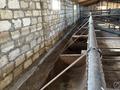 Сельское хозяйство · 400 м² за 10 млн ₸ в Теректы — фото 11