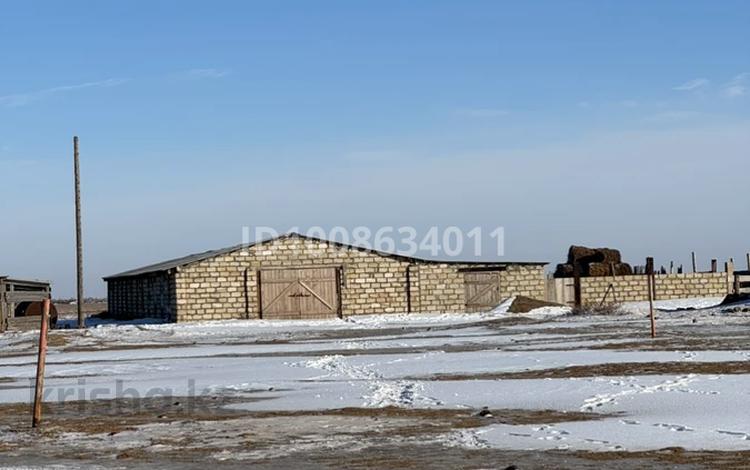 Сельское хозяйство · 400 м² за 10 млн ₸ в Теректы — фото 10