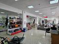 Магазины и бутики • 489.3 м² за 50 млн 〒 в Шарбакты — фото 2