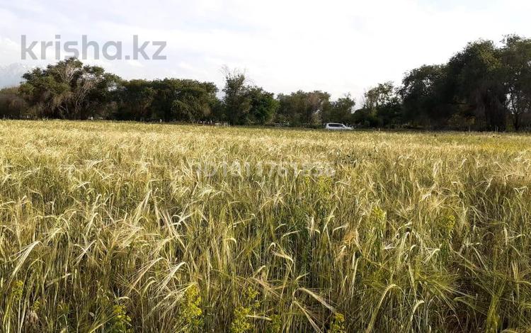 Өнеркәсіптік база · 635 сотық, Садовая 11г, бағасы: 110 млн ₸ в Талгаре — фото 3