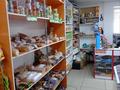 Магазины и бутики • 42 м² за 8 млн 〒 в Текели — фото 12