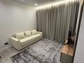 2-комнатная квартира · 46.1 м² · 2/12 этаж, Туран 67 — 77 за 300 000 ₸ в Астане, Есильский р-н