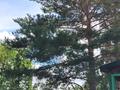 Саяжай · 4 бөлме · 40 м², Кунгей дачный поселок — Район поста ГАИ Алматинская трасса, бағасы: 8 млн ₸ в Караганде — фото 15