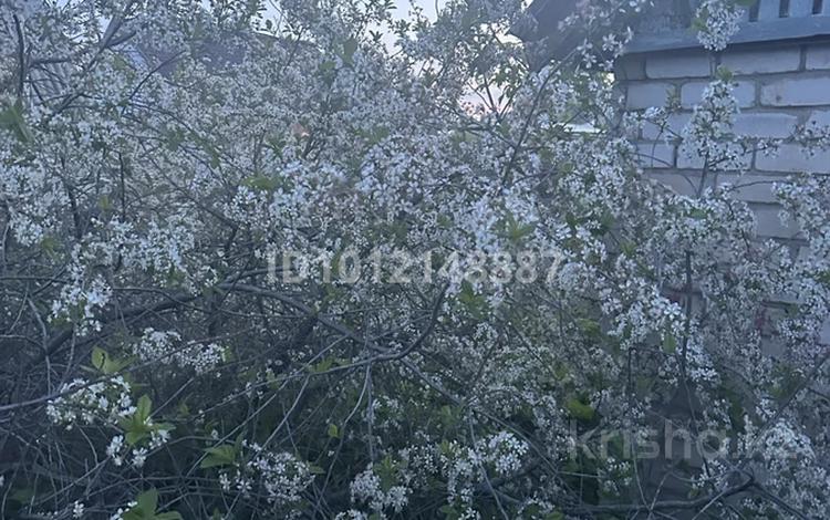 Дача · 1 комната · 20 м² · 6 сот., Микрорайон Южный, Тобольская 2а — Тобольская за 20 000 ₸ в Костанае — фото 2