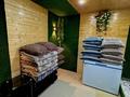 Дача · 4 комнаты · 92 м² · 6 сот., жилой массив Кайнар Булак, Клубничный 46 — Магазин Актай за 65 млн ₸ в Шымкенте, Абайский р-н — фото 24