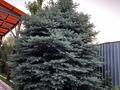 Жеке үй · 4 бөлме · 160 м² · 8 сот., Зауыт — Алтын аул, бағасы: 58.7 млн ₸ в Каскелене — фото 79