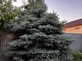 Жеке үй · 4 бөлме · 160 м² · 8 сот., Зауыт — Алтын аул, бағасы: 58.7 млн ₸ в Каскелене — фото 87