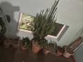 2-бөлмелі пәтер · 45 м² · 3/4 қабат, мкр №1 22, бағасы: 210 000 ₸ в Алматы, Ауэзовский р-н — фото 11