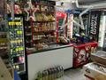 Магазины и бутики · 240 м² за 120 млн ₸ в Костанае — фото 2