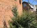 Дача · 3 комнаты · 56.5 м² · 14 сот., Подгорное Дачи Медик-2 Черемушная 9 — Дача Медик-2 за ~ 10 млн 〒 в Усть-Каменогорске, Ульбинский