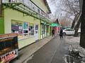 1-комнатная квартира · 22 м², Жангельдина 39 — Угол Райымбека за 180 000 ₸ в Алматы, Медеуский р-н — фото 7