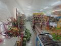 Дача · 4 комнаты · 271 м² · 10 сот., Шуақ 12 — Айару Магазин за 55 млн ₸ в Баскудуке — фото 12