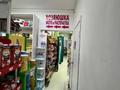 Магазины и бутики · 99 м² за 69 млн ₸ в Алматы, Наурызбайский р-н — фото 11