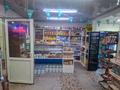 Отдельный дом · 3 комнаты · 110 м² · 4.7 сот., ул. Байтерек 2 за 75 млн ₸ в Алматы, Алатауский р-н — фото 3