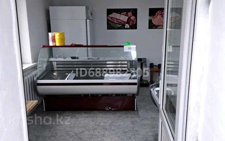 Общепит · 30 м² за 90 000 ₸ в Астане, Нура р-н — фото 5