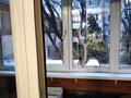2-комнатная квартира · 59 м² · 2/5 этаж, Ратушного 94/1 — Кулагер, аэродромная, розовая за 30 млн 〒 в Алматы, Жетысуский р-н — фото 9