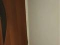 Жеке үй · 7 бөлме · 147.32 м² · 600 жүзд., Макатаева 48/2 — Торекулова, бағасы: 28 млн ₸ в Шымкенте, Туран р-н — фото 5