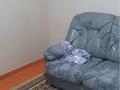 Жеке үй · 7 бөлме · 147.32 м² · 600 жүзд., Макатаева 48/2 — Торекулова, бағасы: 28 млн ₸ в Шымкенте, Туран р-н — фото 7
