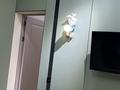 Жеке үй · 7 бөлме · 200 м² · 4 жүзд., Асар-2 ш/а 726 — Нурлыжол ,Сандыктас, бағасы: 120 млн ₸ в Шымкенте, Абайский р-н — фото 15