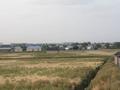 Участок · 5 га, мкр Жанаталап за 120 млн ₸ в Шымкенте, Туран р-н — фото 2