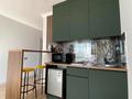 1-комнатная квартира · 25 м² · 7/16 этаж, Мухамедханова 4В — 306 улица за 14 000 ₸ в Астане, Есильский р-н — фото 9