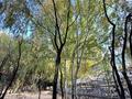 Бани, гостиницы и зоны отдыха, развлечения · 2000 м² за 60 млн ₸ в Конаеве — фото 35