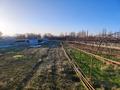Участок · 1.1 га, Сихым 1 — Сихым за 27 млн ₸ в Аксукенте — фото 14