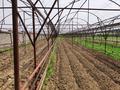 Участок · 1.1 га, Сихым 1 — Сихым за 27 млн ₸ в Аксукенте — фото 6