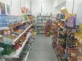 Продуктовый магазин · 100 м², бағасы: 11 млн ₸ в Астане, Нура р-н — фото 8