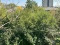 1-бөлмелі пәтер · 33.1 м² · 3/5 қабат, №8 ш/а., бағасы: 300 000 ₸ в Алматы, Ауэзовский р-н — фото 15