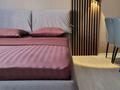 1-комнатная квартира · 50 м² · 4/12 этаж, Желтоксан 17а — проспект Кунаева за 15 000 ₸ в Шымкенте — фото 6