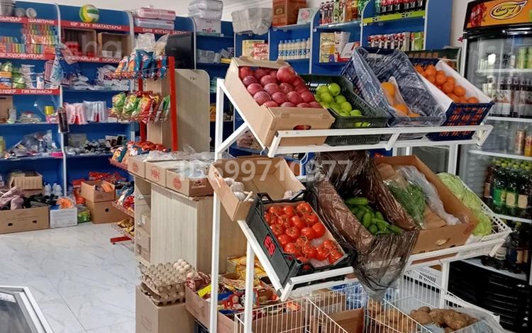 Дүкендер мен бутиктер · 140.5 м², бағасы: 35 млн ₸ в Шымкенте, Аль-Фарабийский р-н — фото 7