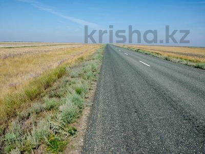Участок · 50000 соток, Конаев (Капчагай) — Малайсары — Изгиб за 100 млн 〒